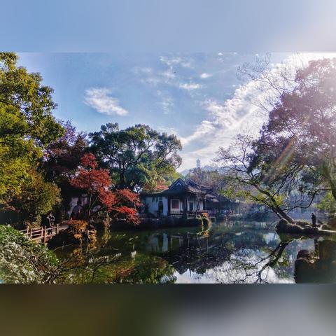 无锡市哪里可以看银杏