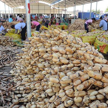 黎塘到南宁的汽车的相关长尾关键词有哪些