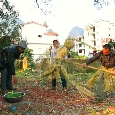 桂林市公园适合种什么树