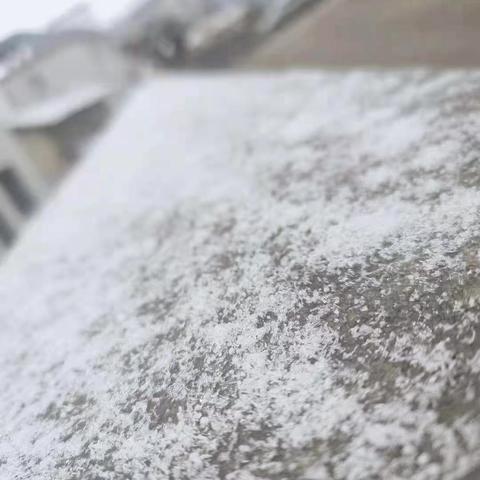 龙岩哪一年下雪？