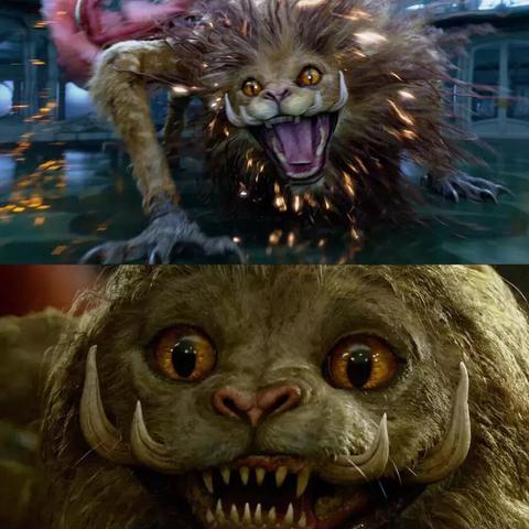 面相算命图解大全男的长尾关键词有什么