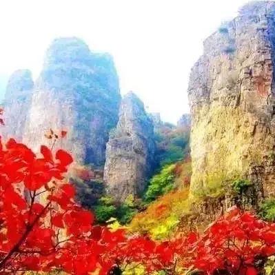 保定市负氧离子多少