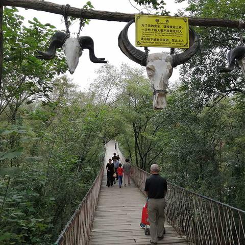 山东潍坊市飞机票价多少