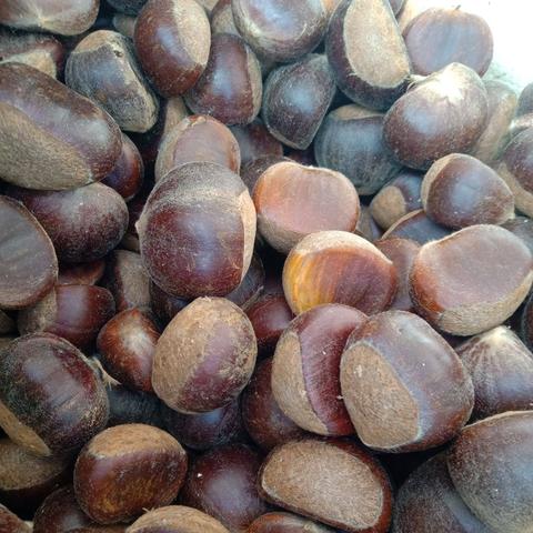 桂林市有什么特色吃的