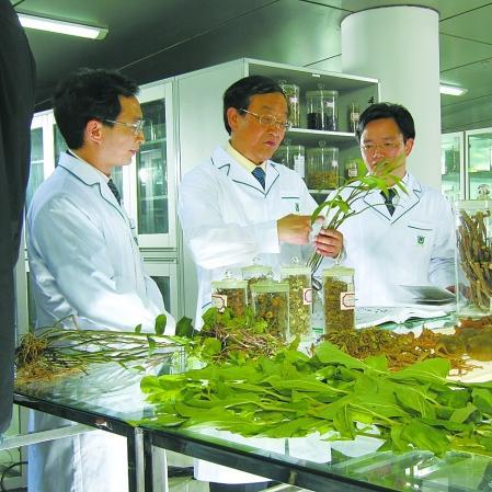 桂林西瓜霜t相关长尾关键词有哪些
