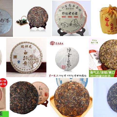 普洱茶与福建茶哪个好泡