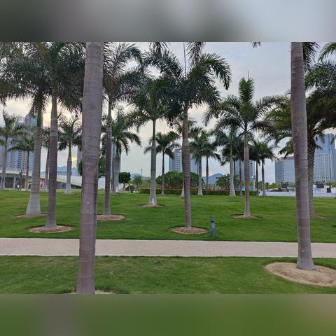 厦门阳光教育的相关长尾关键词有哪些