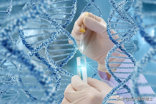 月经过多是如何引起的 月经过多是如何引起的