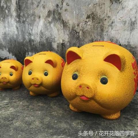 猪的下个月生肖运势如何(下个月属猪的运势)