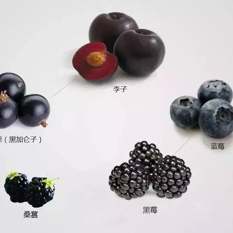 天津蓝莓葡萄酒哪个好喝