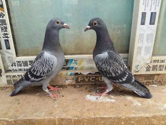 春季给新生儿洗澡要注意什么