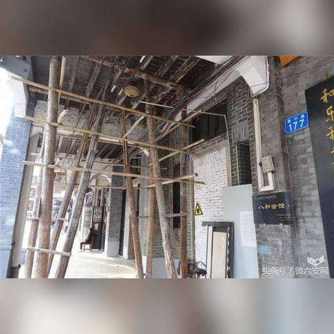 广州市收竹子电话多少