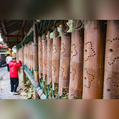 桂林市大风车蛋糕店在哪里
