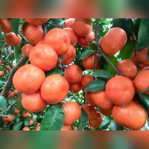 桂林跟封开相关长尾关键词有哪些