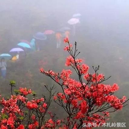 足球运动员的活力的长尾关键词有什么