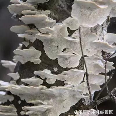 天际电影的长尾关键词有什么