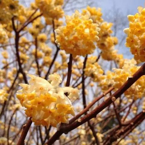 2025.11.9西安今日气温变化情况