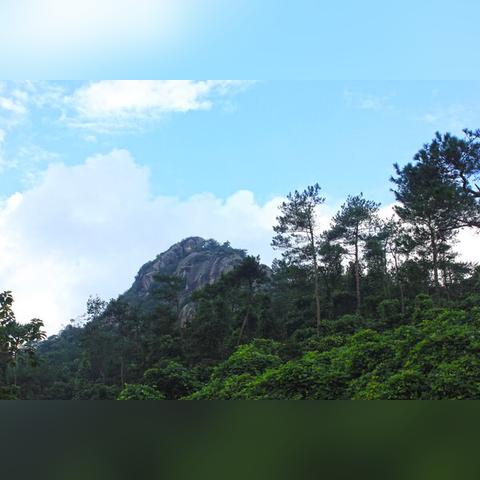 山海之约电影免费观看的长尾关键词有哪些