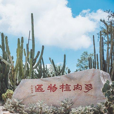 厦门市植物园在哪里位置