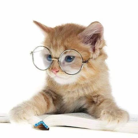 大连和平广场金领瑜伽的相关长尾关键词有哪些