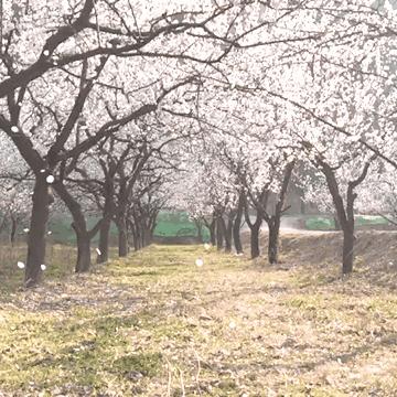 泾阳县永乐镇各村名的来历？