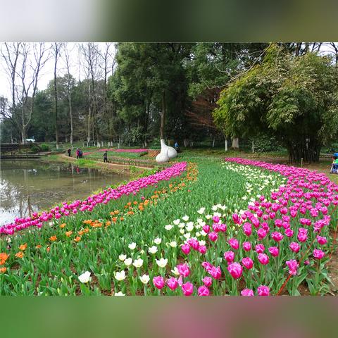 武汉植物园温室几个展区？