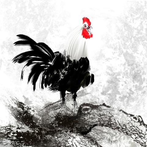 生肖鸡运势图片大全(生肖属鸡的人运势非常网)