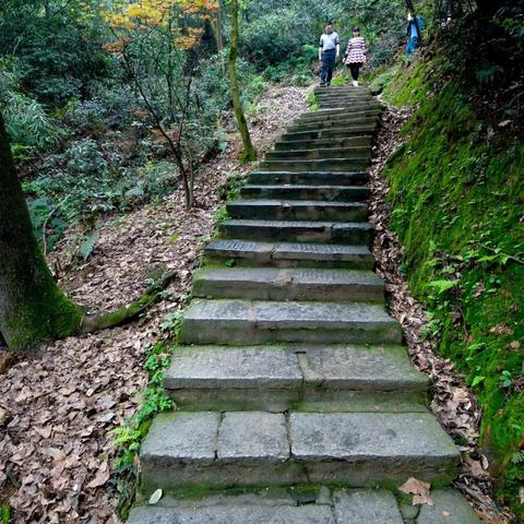 长沙市岳麓区吃什么的