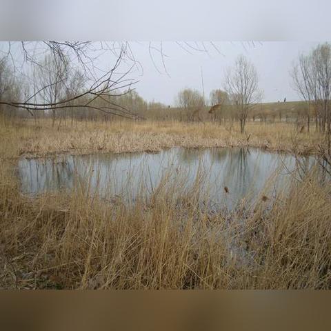 济南黄金打造加工相关长尾关键词有哪些