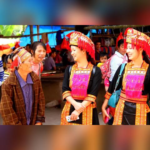 桂林市枇杷果园在哪里