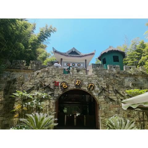 重庆森林哪个平台有播出