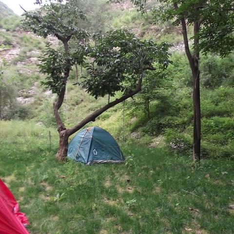 保定市至顺平多少公里