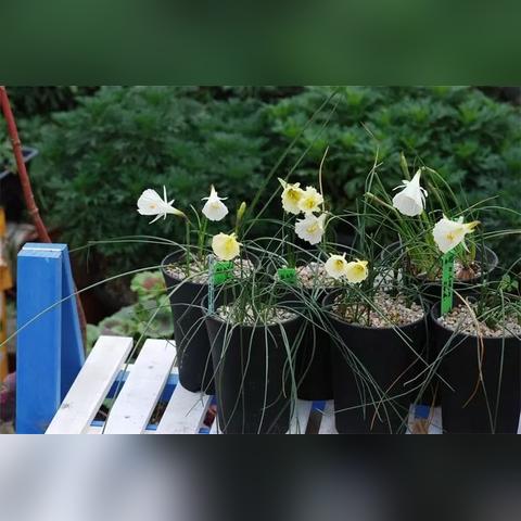 河南诚冠物业的相关长尾关键词有哪些