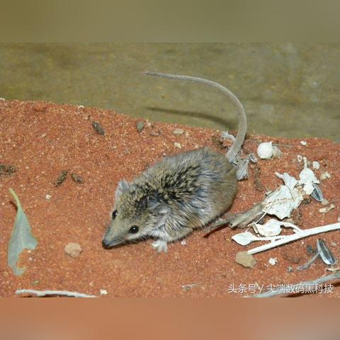 裂缝 电影的长尾关键词有哪些