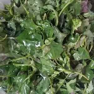 河南菜价格怎么样