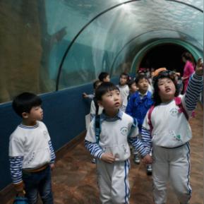 从合肥火车站到海洋馆相关长尾关键词有哪些