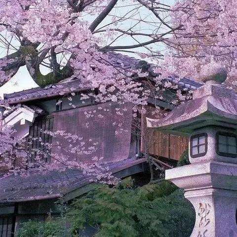 西安无尘车间相关长尾关键词有哪些