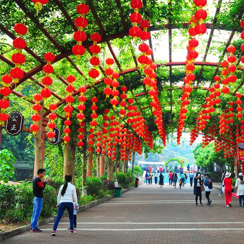 东莞市看花地方在哪里啊