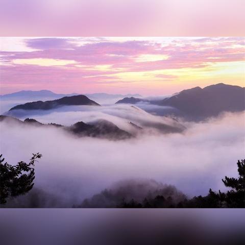 温州市茶谷坑水库在哪里