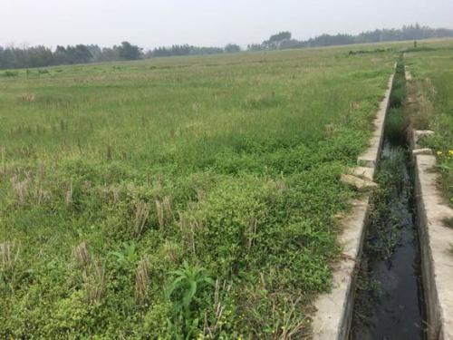 农村到处出现荒废的田地，这些田地会被回收吗？