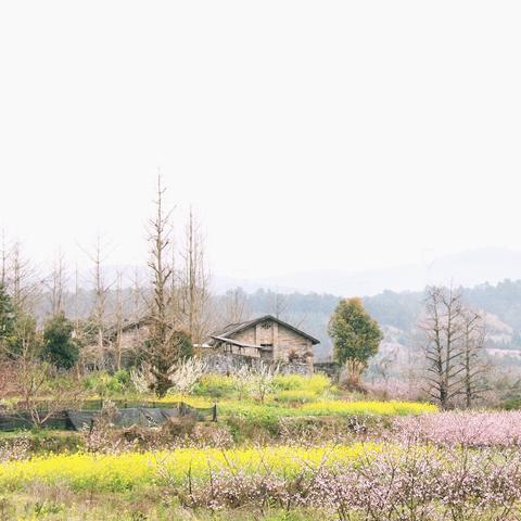 桂林市哪里买乒乓球拍