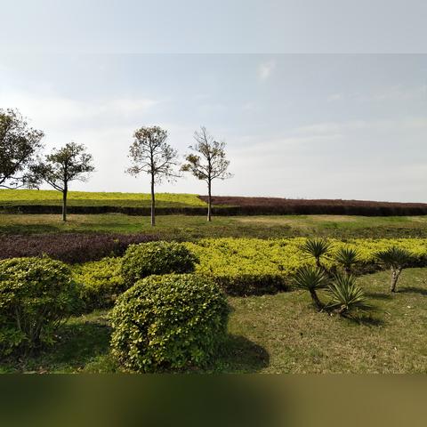 芜湖做什么生意好做呢的长尾关键词有哪些