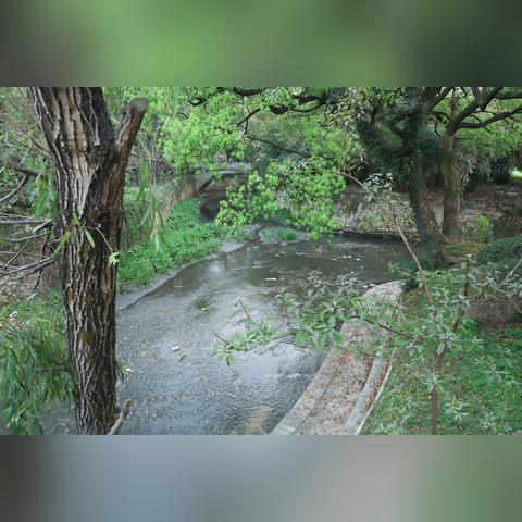 桂林市七星公园怎么玩