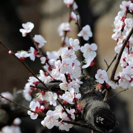 济南迁坟服务相关长尾关键词有哪些