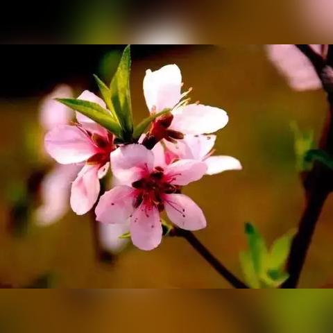 天津哪个地方好啊