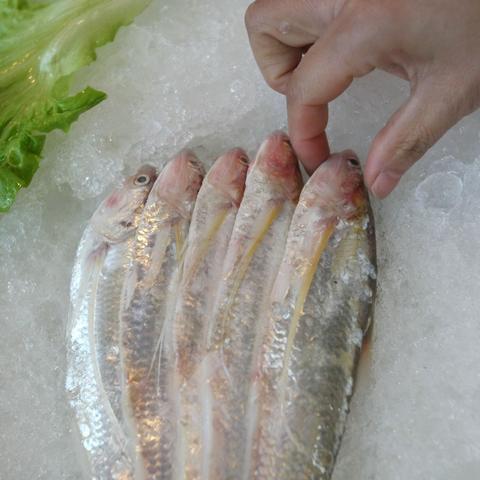 无锡市哪里有钓鱼的地方