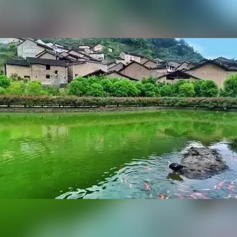 福建哪个古镇好玩