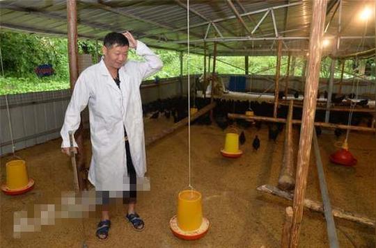 “三德子”赚钱后去深山养鸡帮村民脱贫！拒绝代言虚假广告！