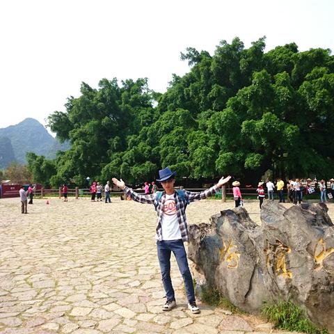 桂林市玉龙河景区电话相关长尾关键词有哪些