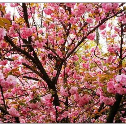 西安奥特莱斯北稍门几点开门？